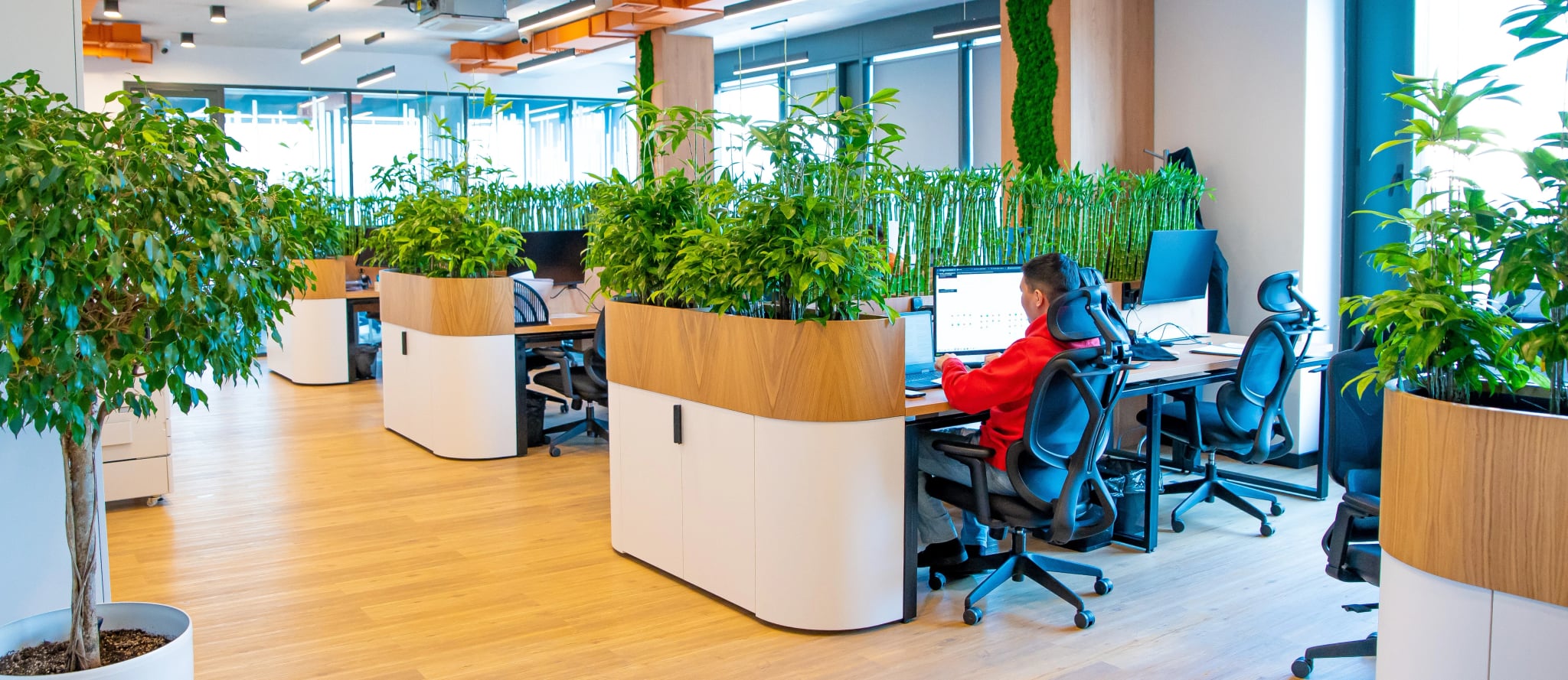 Modern workspace setup